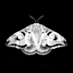 Emetic V