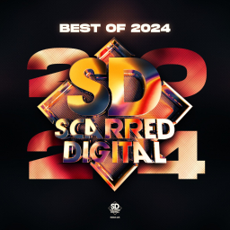 Scarred Digital : Best of 2024