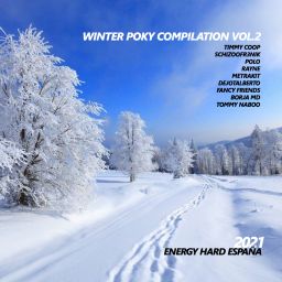 Winter Poky Compilation Vol.2
