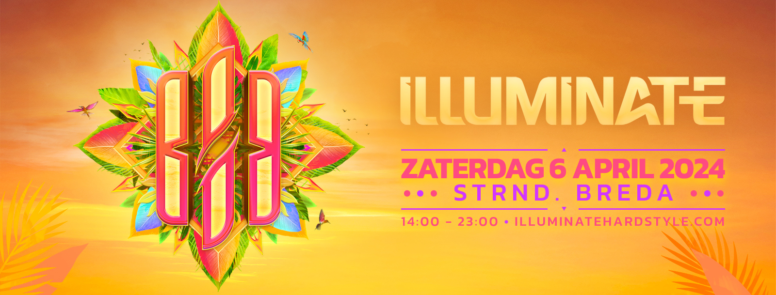 Illuminate | Breda