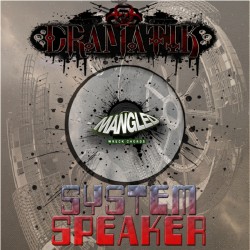 System Speaker