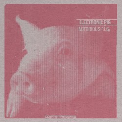 Electro nicpig