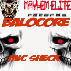 Mic Sheck