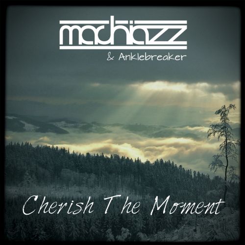 Cherish The Moment