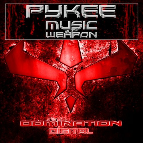 Music Is My Weapon