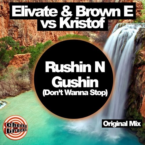 Rushin N Gushin (Don't Wanna Stop)