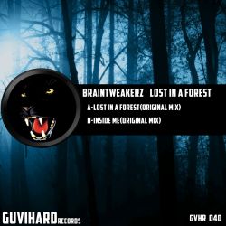 Lost In A Forest