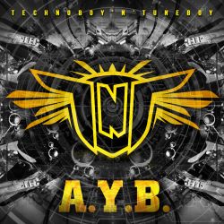 A.Y.B.