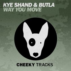 Way You Move