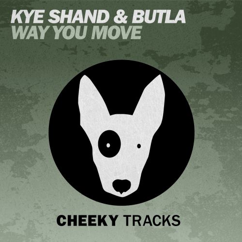 Way You Move