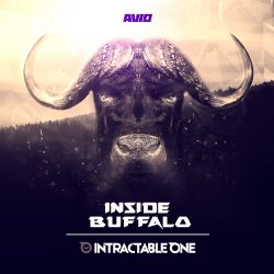 Inside Buffalo