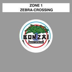 Zebra-Crossing