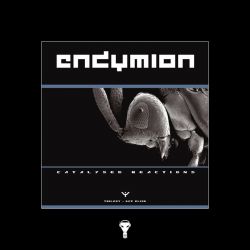 Stay Focussed by Nosferatu & Endymion cover art