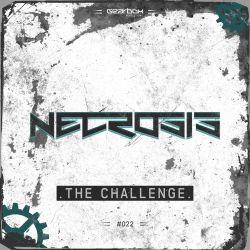 The Challenge