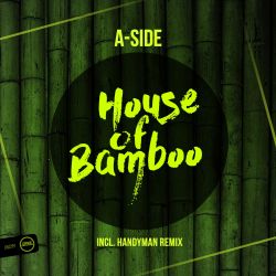 House Of Bamboo