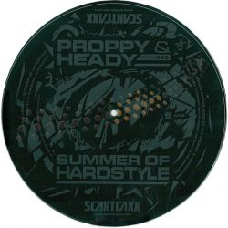 Summer Of Hardstyle