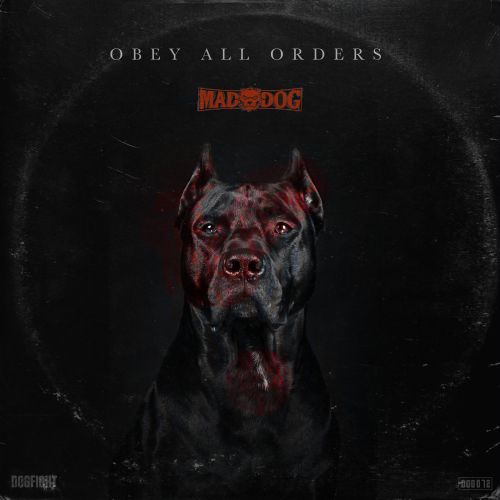 Obey All Orders