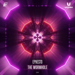 The Wormhole