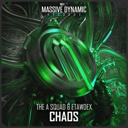 Chaos