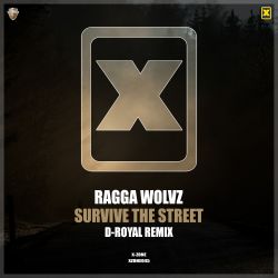 Survive The Street
