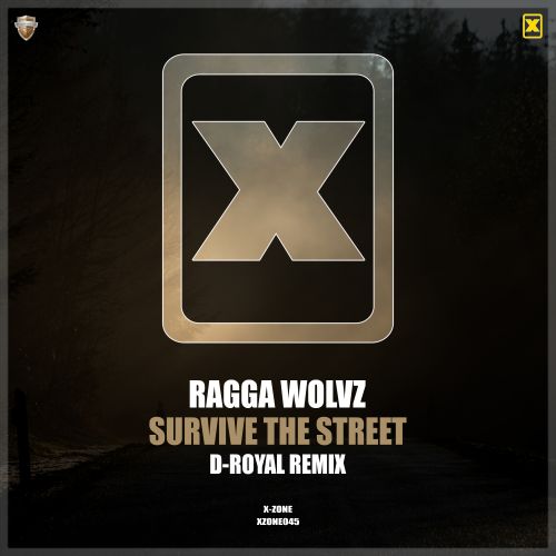 Survive The Street
