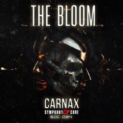 The Bloom