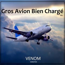 Gros Avion Bien Chargé