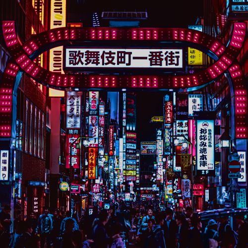 Shinjuku Chaos