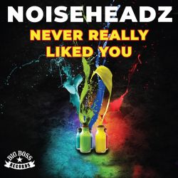 Never Really Liked You