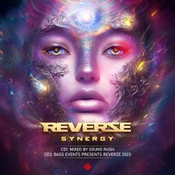 Synergy (Reverze Anthem 2023)