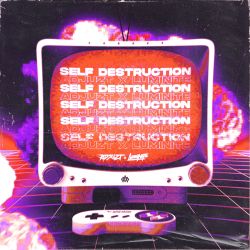 SELF DESTRUCTION