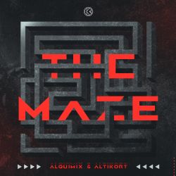 The Maze