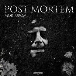 Livor Mortis