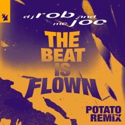 The Beat Is Flown