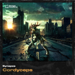 Cordyceps