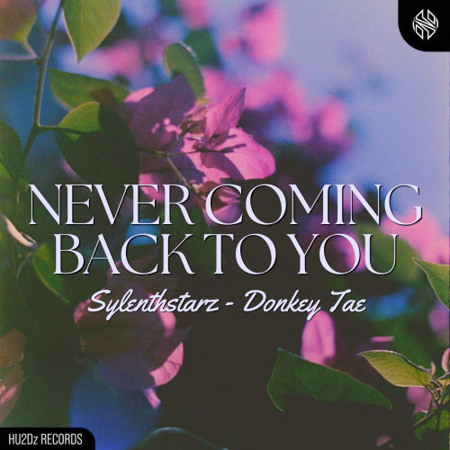 Never Coming Back To You