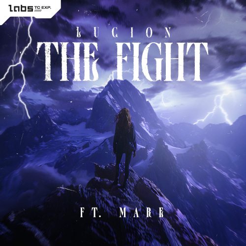 The Fight
