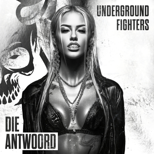 Die Antwoord