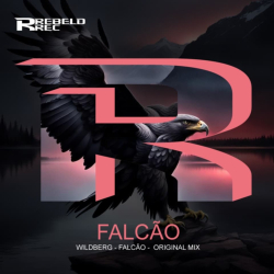 Falcão