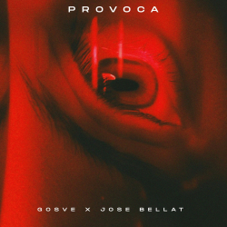 Provoca