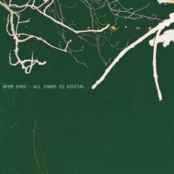 All Chaos Is Digital