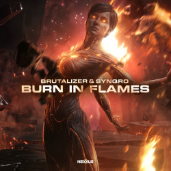 Burn In Flames