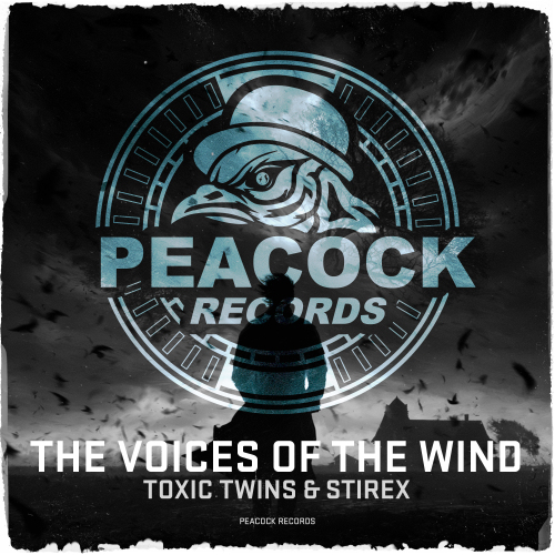 The Voices Of The Wind