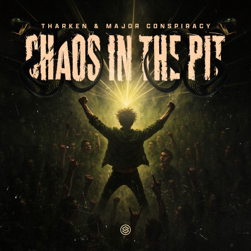 Chaos In The Pit