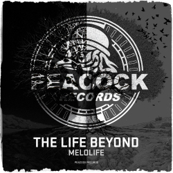 The Life Beyond