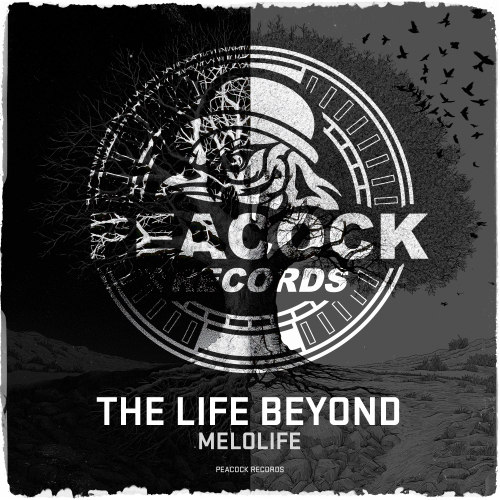 The Life Beyond