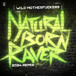 Natural Born Raver (2024 Remix)