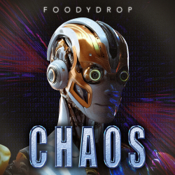 Chaos