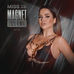 Magnet