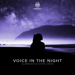 Voice In The Night